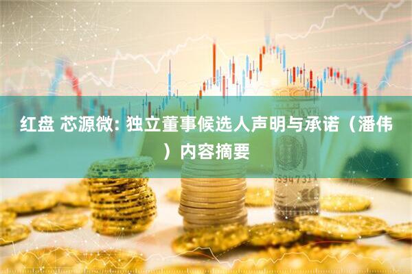 红盘 芯源微: 独立董事候选人声明与承诺（潘伟）内容摘要