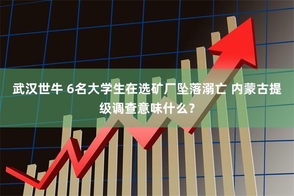 武汉世牛 6名大学生在选矿厂坠落溺亡 内蒙古提级调查意味什么？