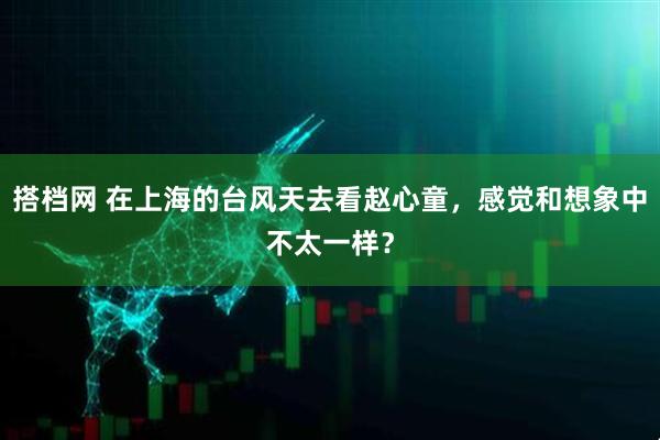 搭档网 在上海的台风天去看赵心童，感觉和想象中不太一样？