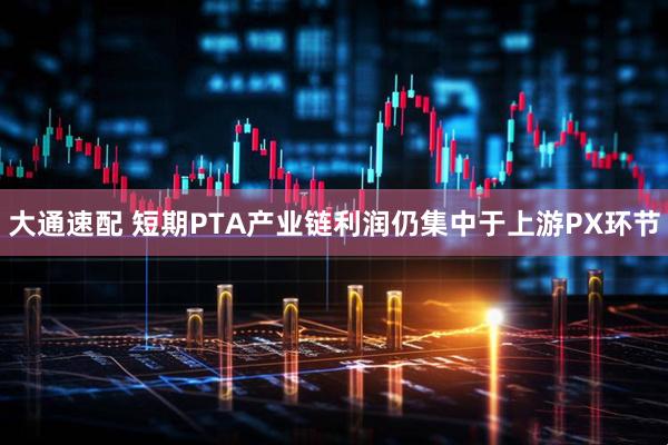 大通速配 短期PTA产业链利润仍集中于上游PX环节