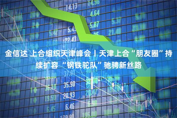 金信达 上合组织天津峰会丨天津上合“朋友圈”持续扩容 “钢铁驼队”驰骋新丝路