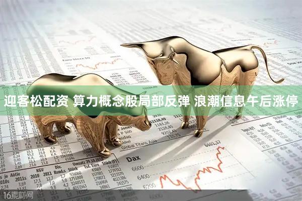 迎客松配资 算力概念股局部反弹 浪潮信息午后涨停