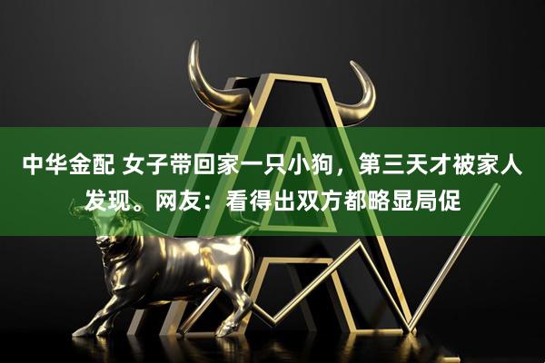 中华金配 女子带回家一只小狗，第三天才被家人发现。网友：看得出双方都略显局促