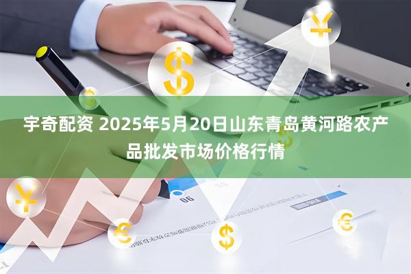 宇奇配资 2025年5月20日山东青岛黄河路农产品批发市场价格行情