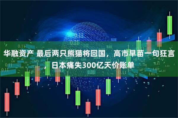 华融资产 最后两只熊猫将回国，高市早苗一句狂言，日本痛失300亿天价账单